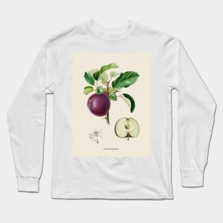 Apple Antique Botanical Illustration Long Sleeve T-Shirt
